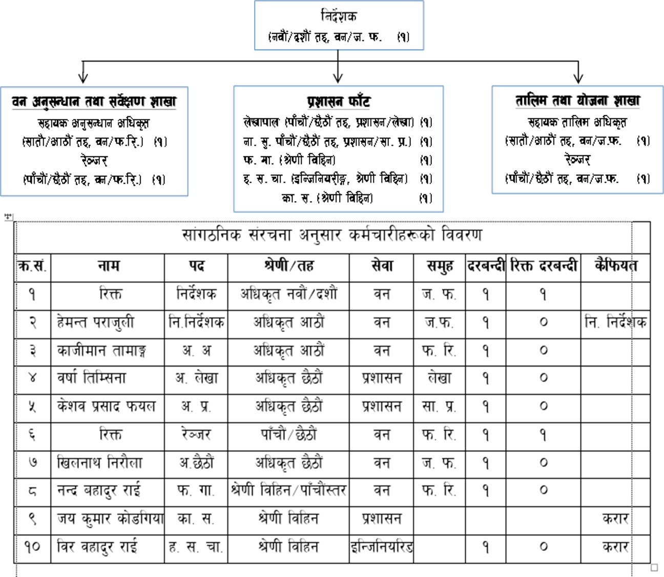 संगठन संरचना